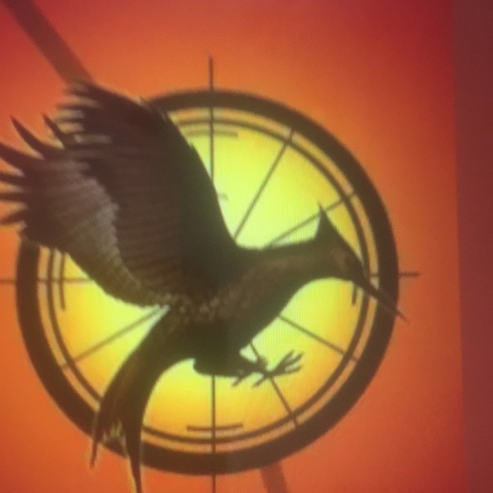 Catching Fire - Picture 2 of 2